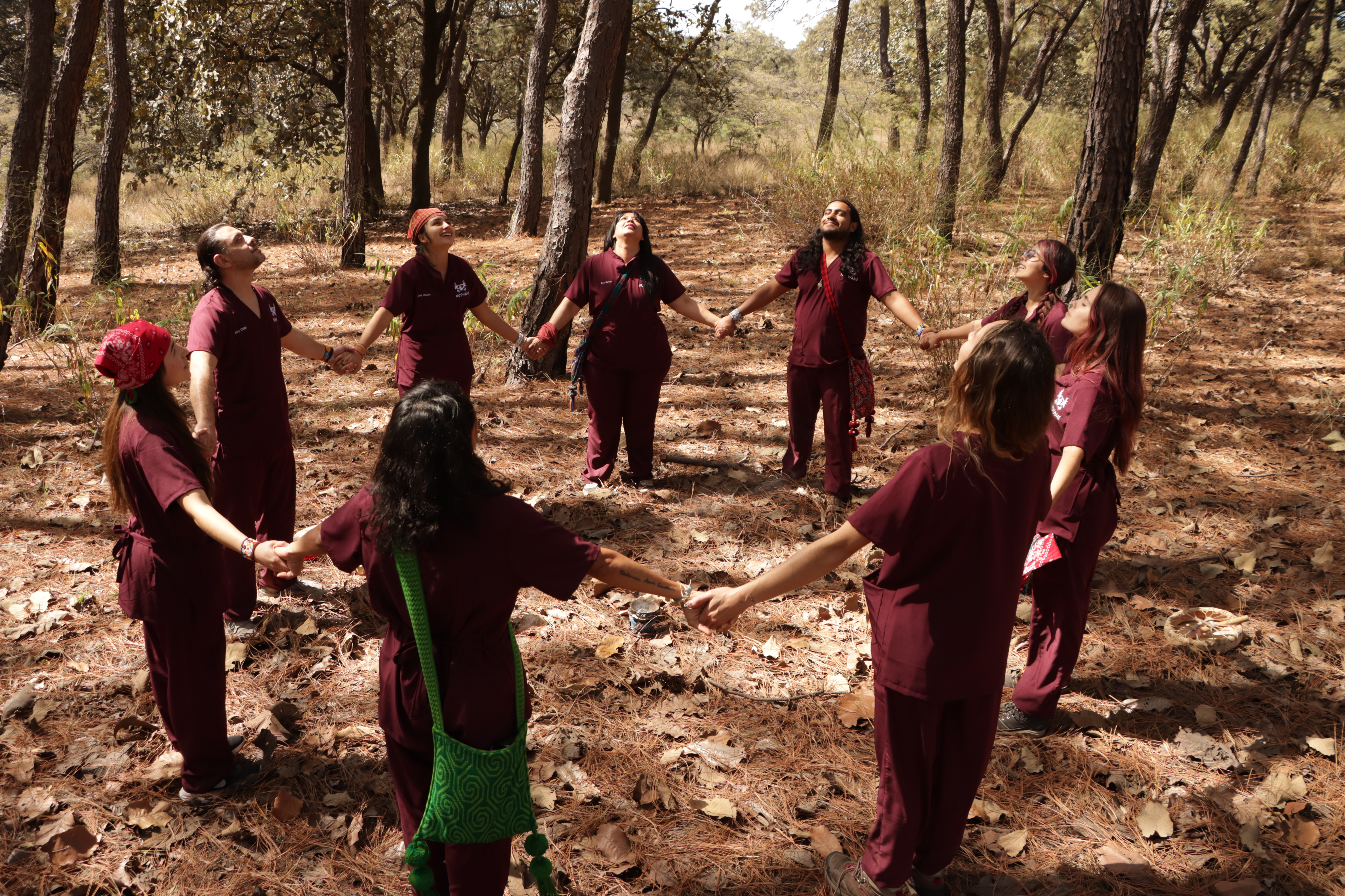 Procesos Terapéuticos