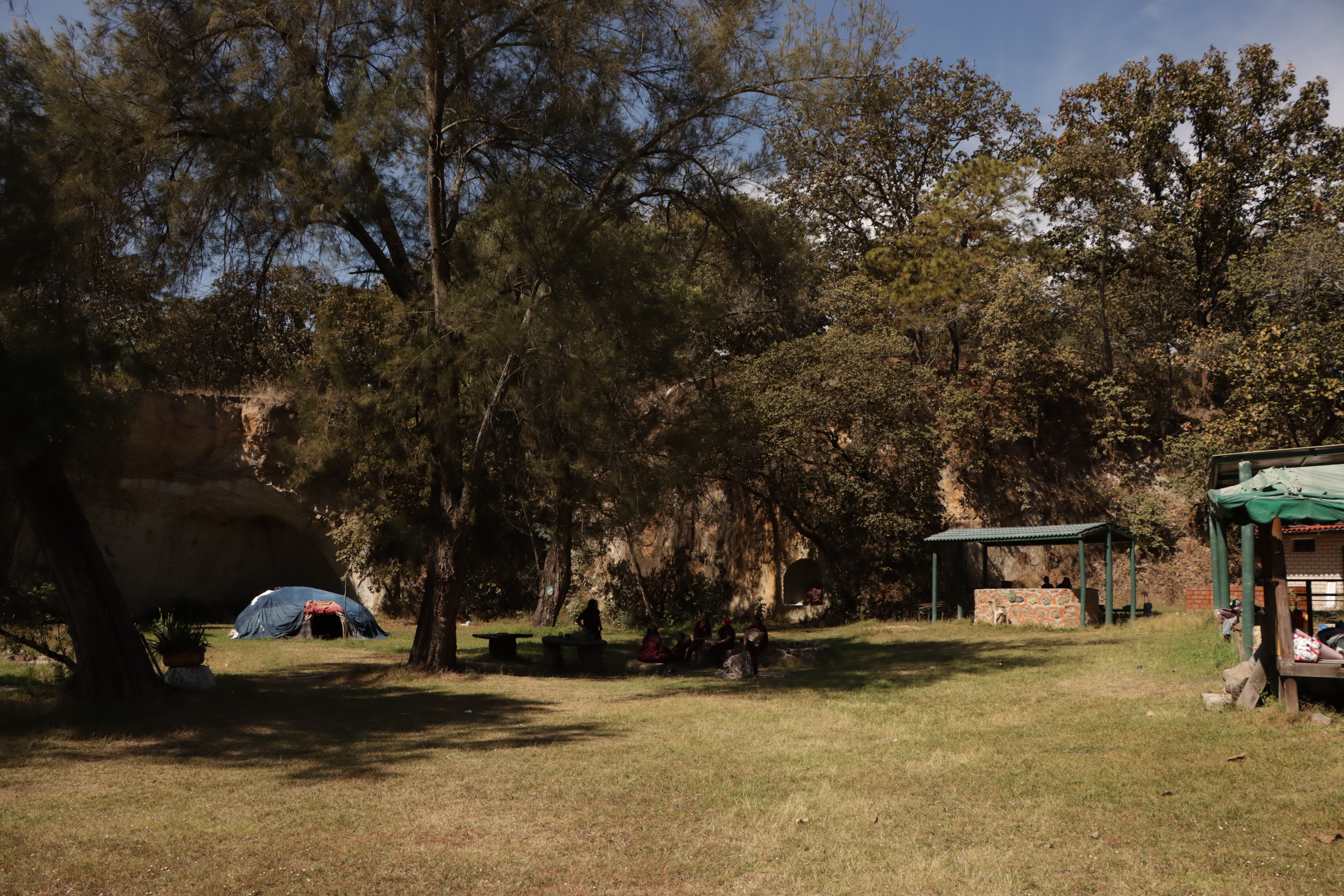 Bosque La Cueva del Lince